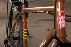 Fairdale x Toy Machine Lookfar  (Limited Edition Gloss Brown in S-L)